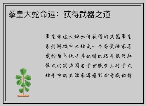 拳皇大蛇命运：获得武器之道
